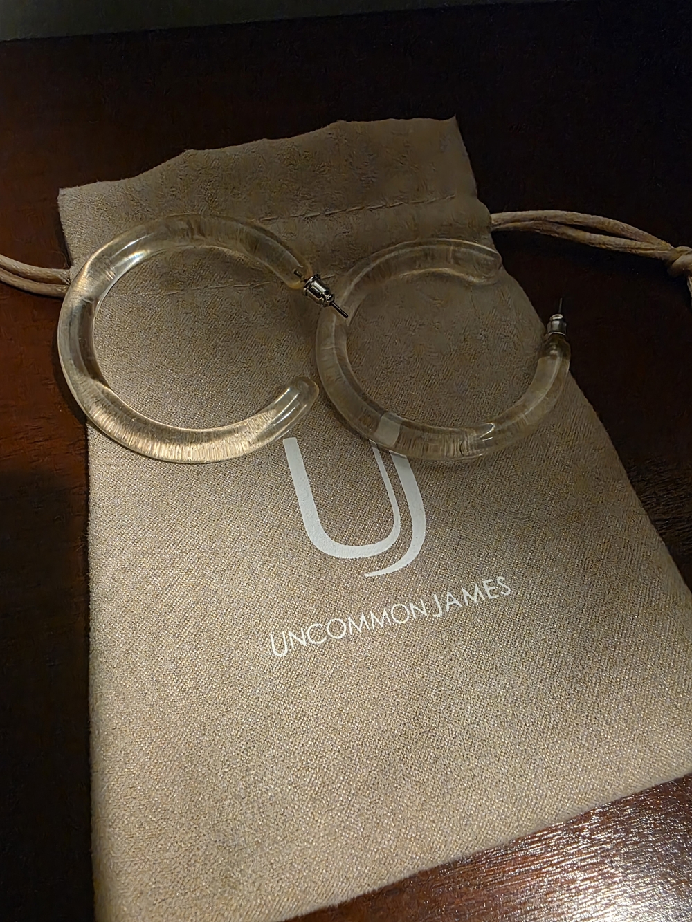 Uncommon James Clear Acrylic Hoop Earrings - Translucent